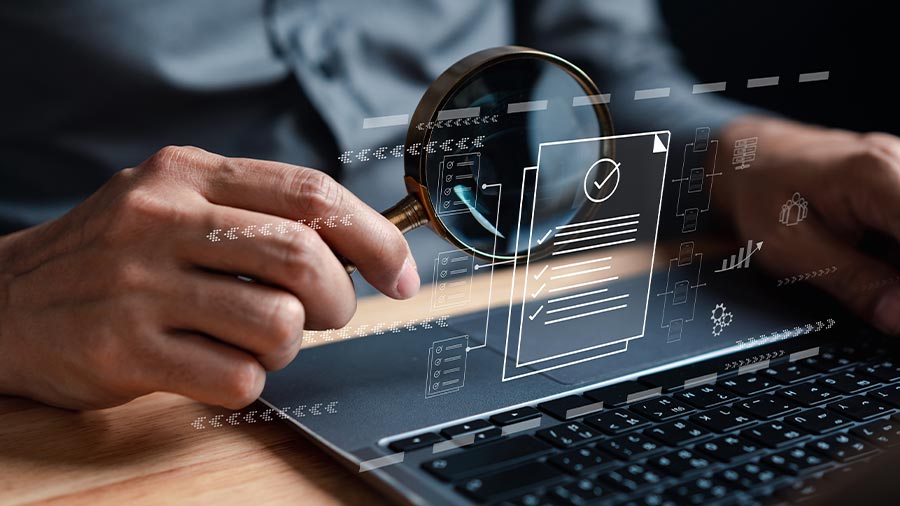 越南的2025年企业调查：调查范围和时间表