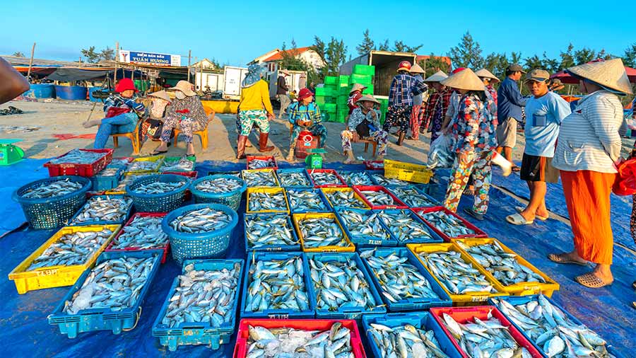 在越南投资水产养殖