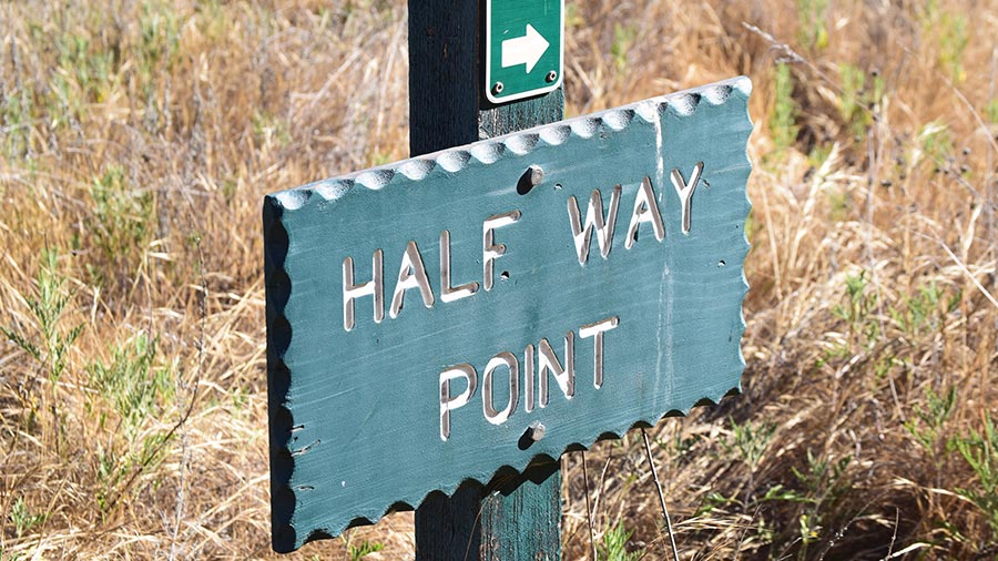 越南的年中经济报告卡显示结果不同