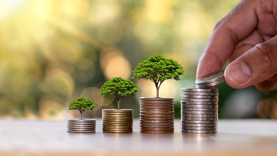 越南的国家绿色增长战略：打开包装