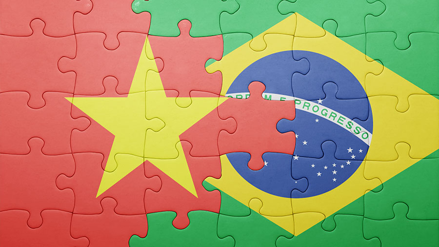 越南 - 巴西双边贸易概述