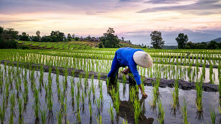 越南北部主要经济区的机会