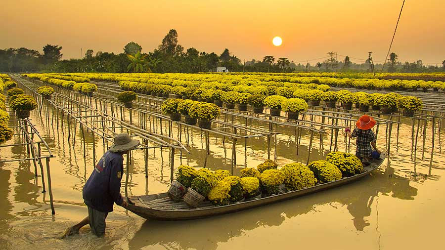 投资越南的董事会省：3个主要驱动力