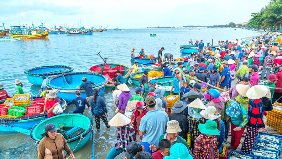 越南的自由贸易协定 - 您的业务机会