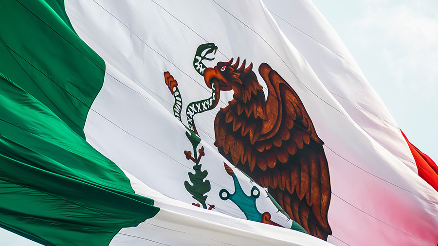 越南 - 墨西哥贸易和投资关系