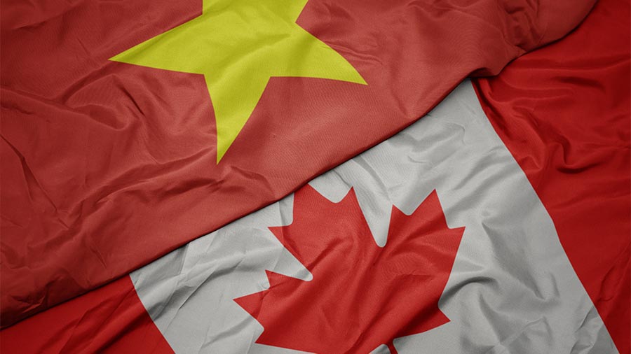 越南 - 加拿大交易未来后的贸易：导航关键动态