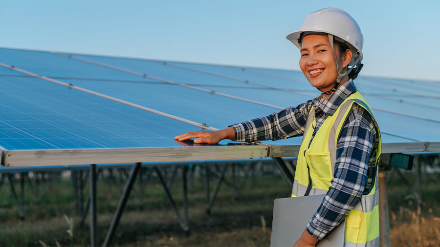 越南在2025年的太阳饲料关税：激励储能储存