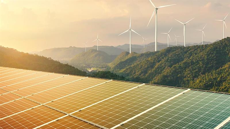 越南的权力短缺：影响和政府的反应