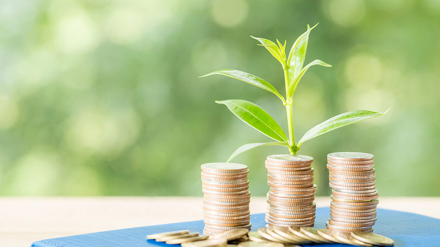 越南的绿色激励措施：投资者概述