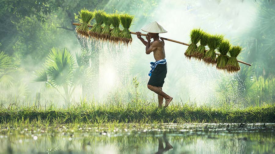 问答：了解越南劳动力市场和关键人力资源合规性