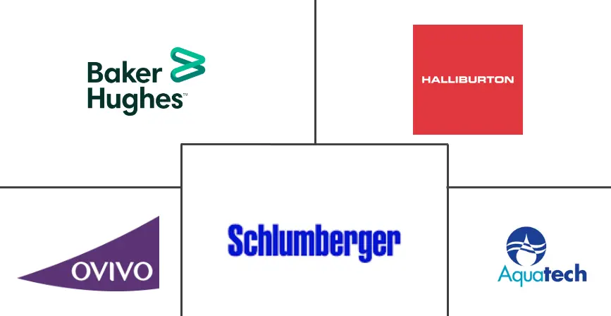 石油和天然气水管理服务市场规模