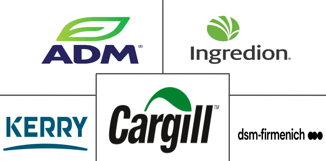 南美洲特色食品配料市场规模和份额分析