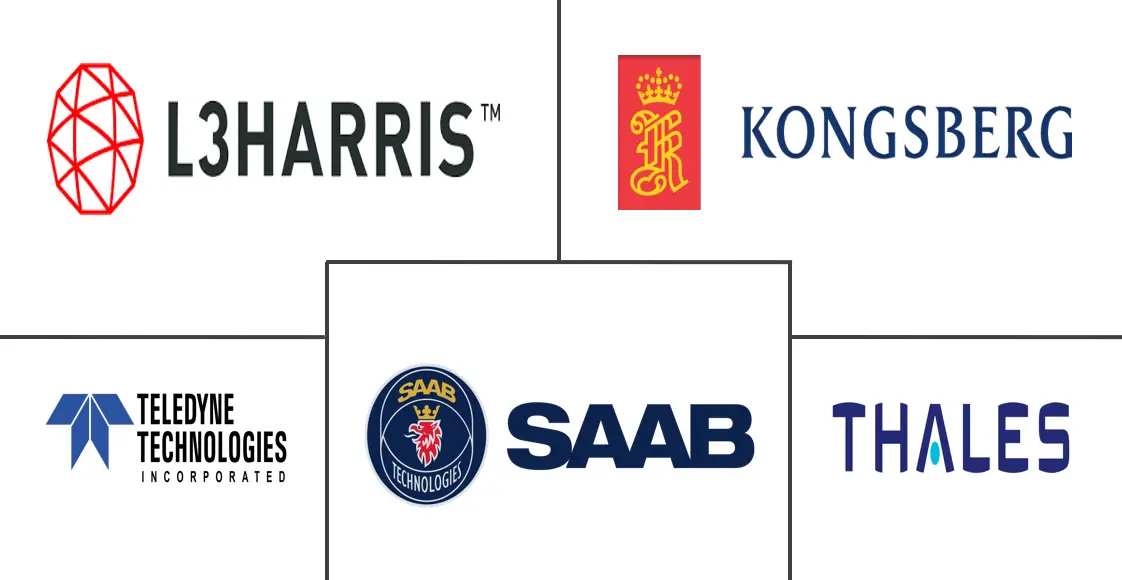 无人船市场规模及份额