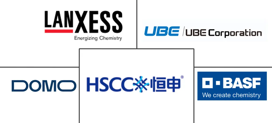 聚酰胺 (PA) 6 市场规模和份额