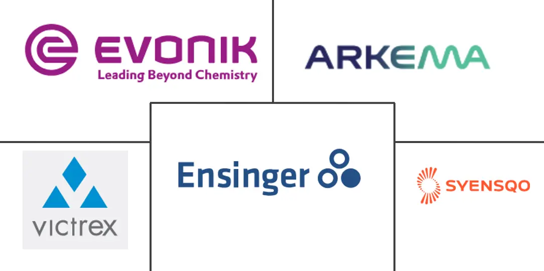 欧洲聚醚醚酮（预览）市场规模和份额