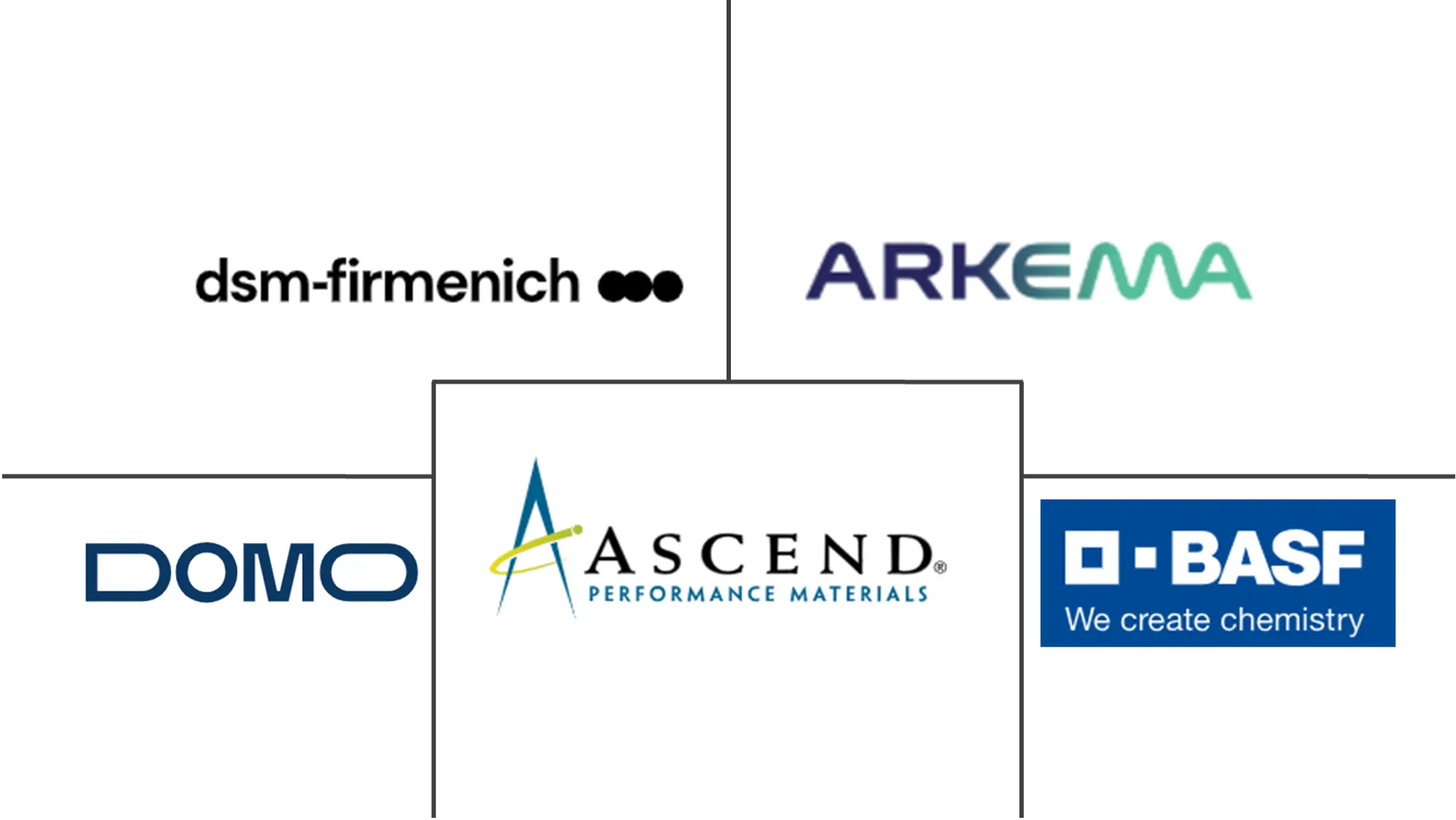 北美聚酰胺市场规模和份额