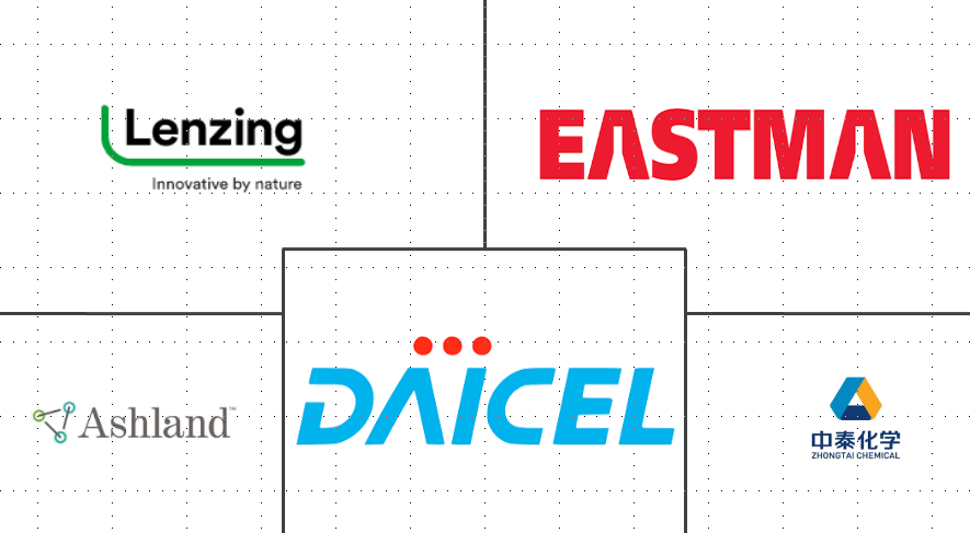 纤维素聚合物市场规模