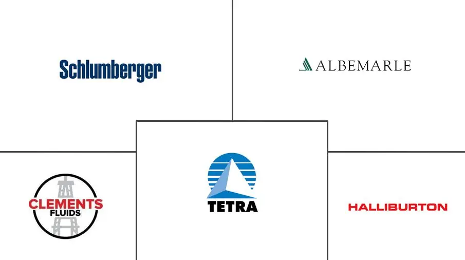 透明盐水流体市场规模