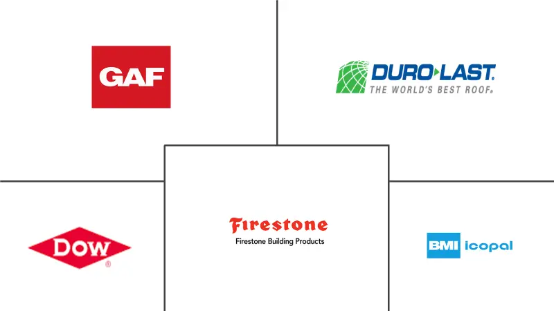 单层膜市场规模