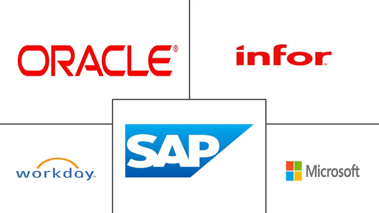 企业资源规划市场规模和份额