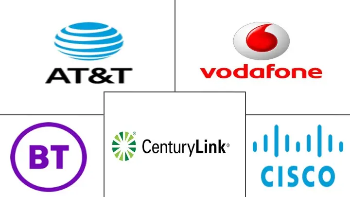 托管 MPLS 市场规模