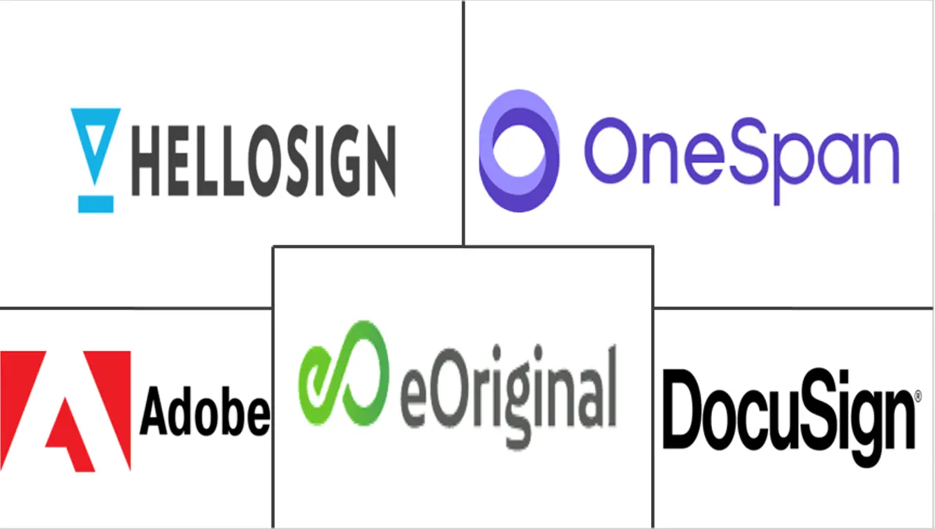 数字交易管理 (DTM) 市场规模和份额