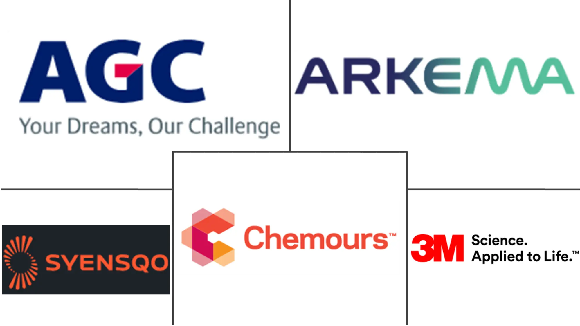 南美氟聚合物市场规模及份额