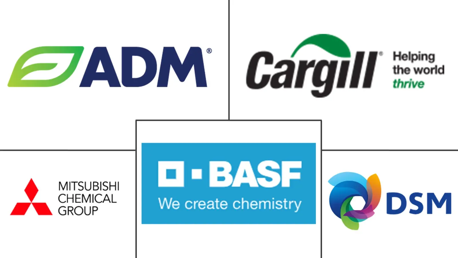 生物有机酸市场规模