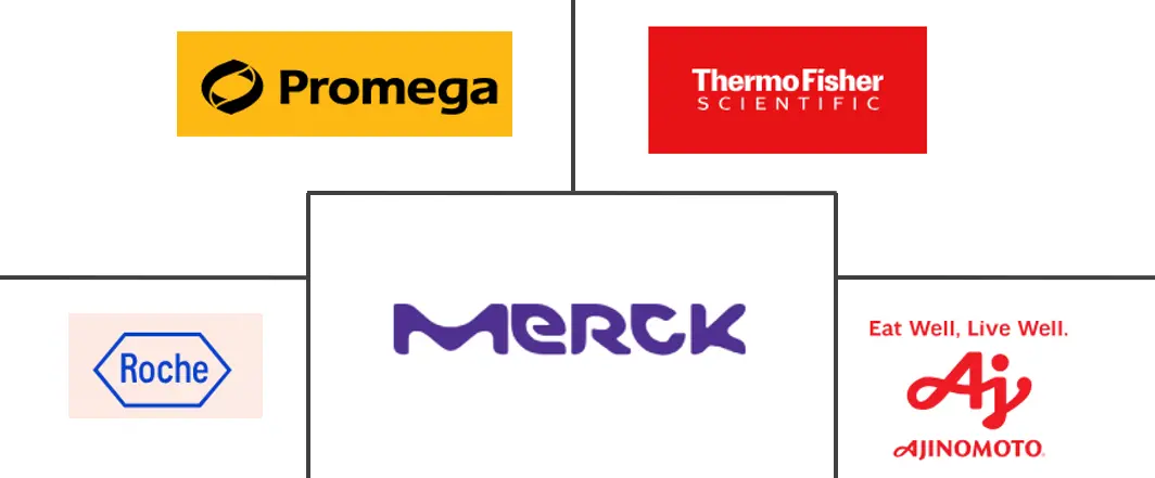 核苷酸市场规模和份额