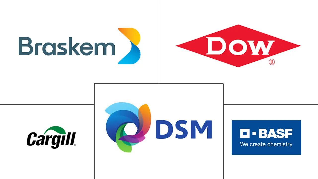 绿色化学品市场规模及份额