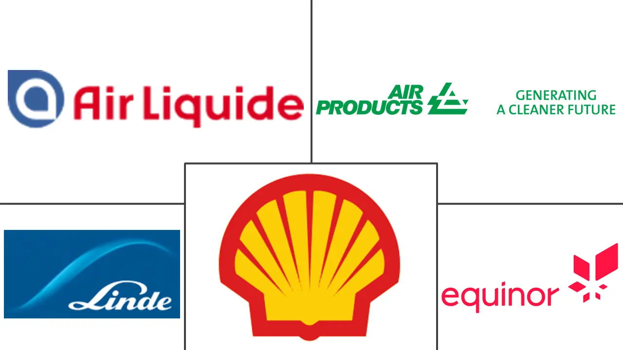 蓝氢市场规模和份额