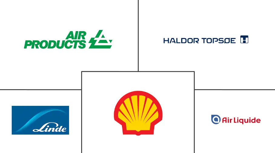 东南亚合成气市场规模