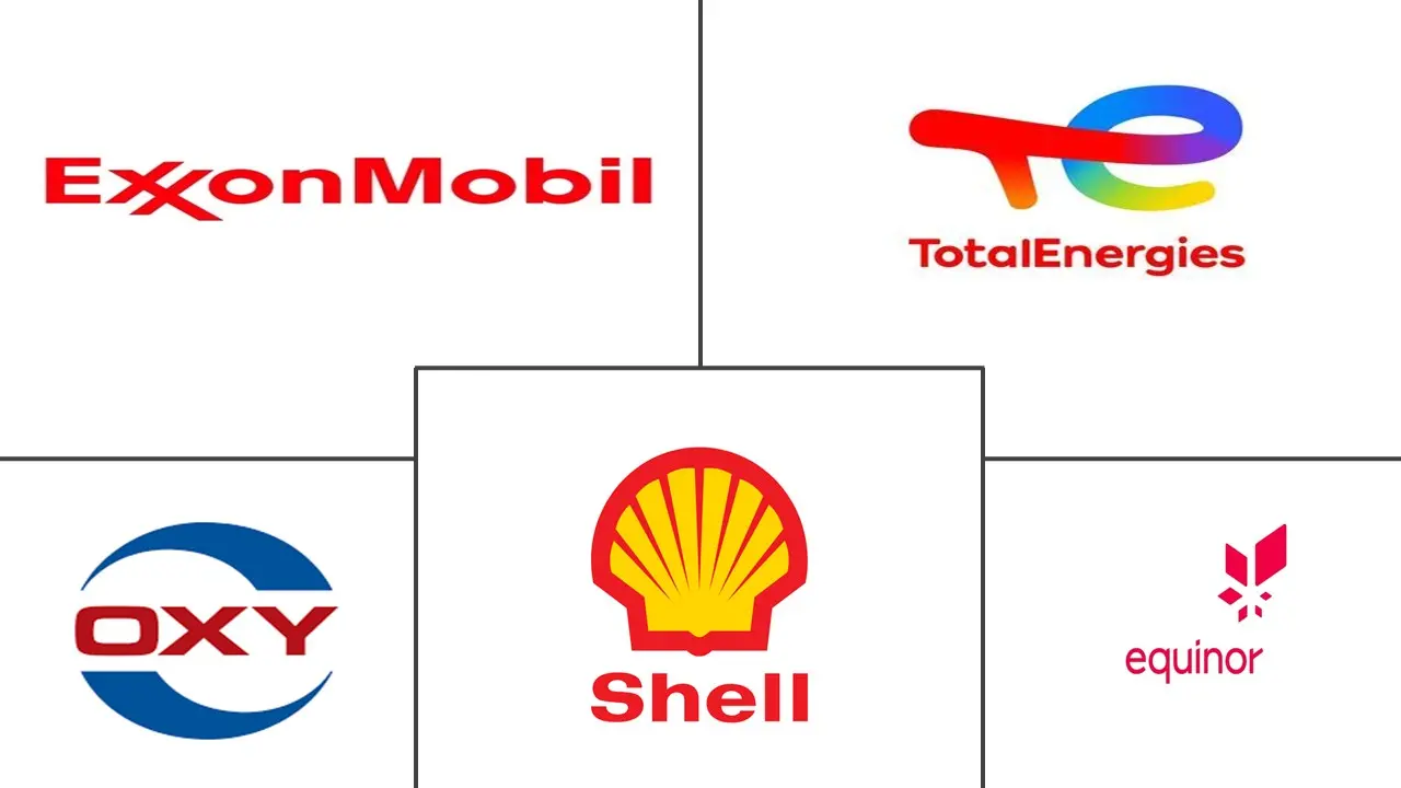 碳捕集与封存市场规模及份额