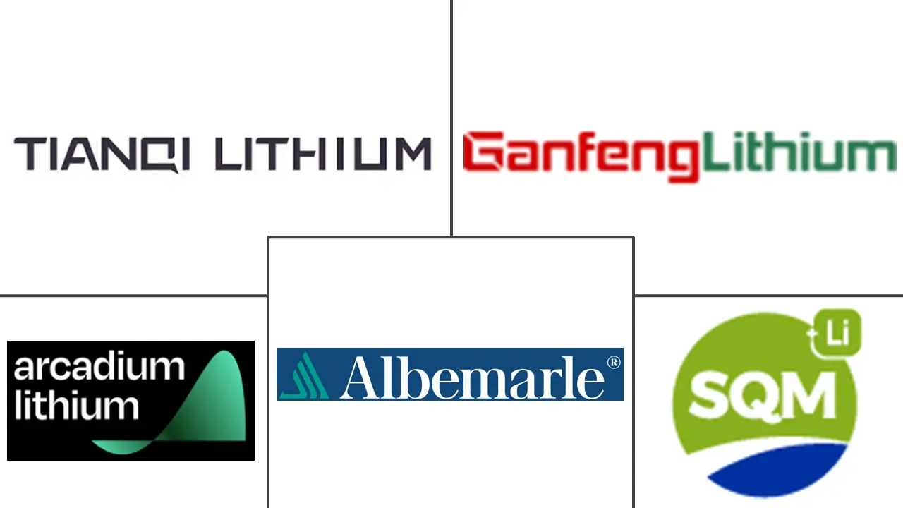 氢氧化锂市场规模及份额