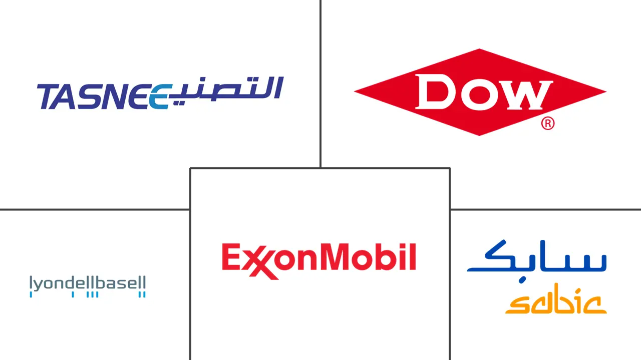 中东聚乙烯市场规模