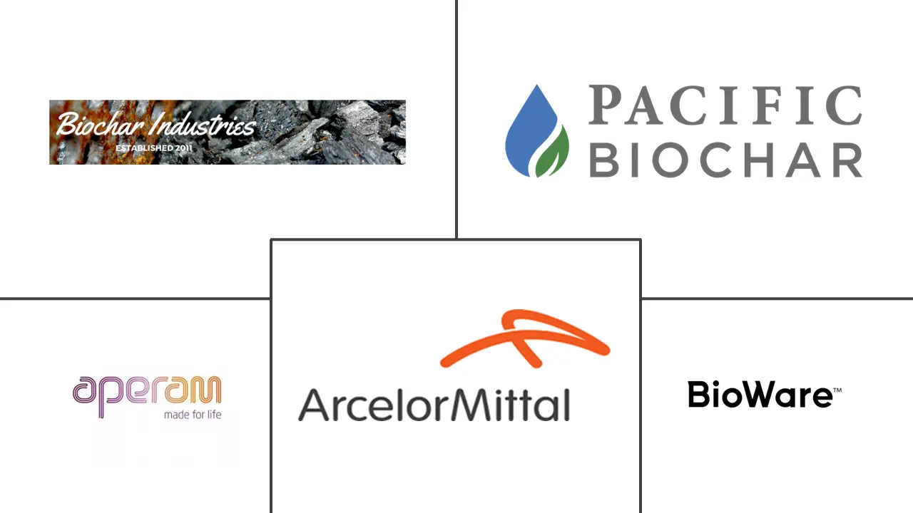 拉丁美洲生物炭市场规模