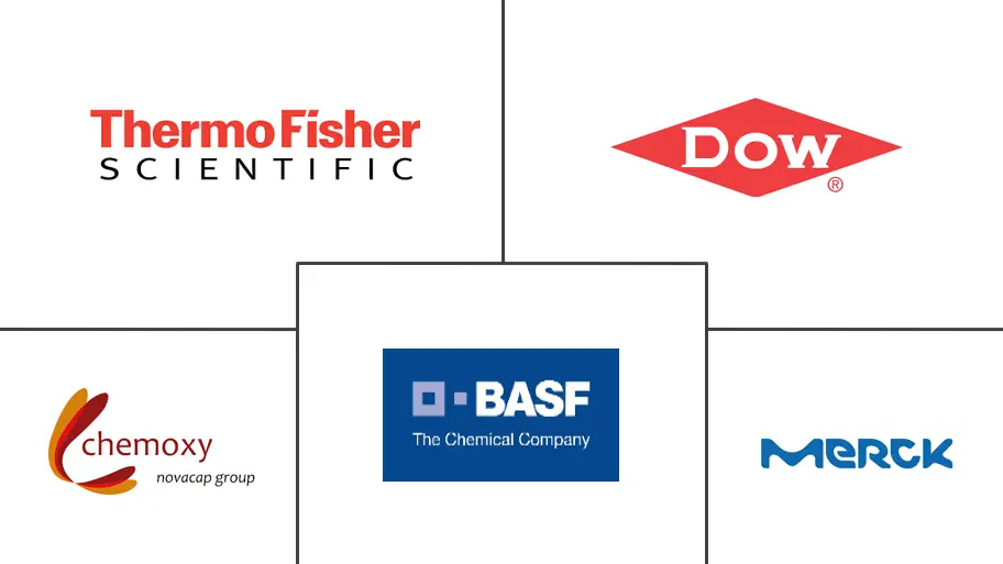 乙酸异戊酯市场规模