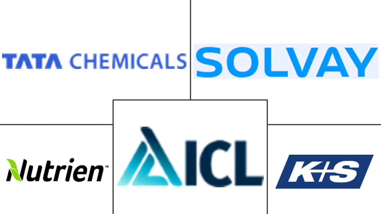 无机盐市场规模和份额