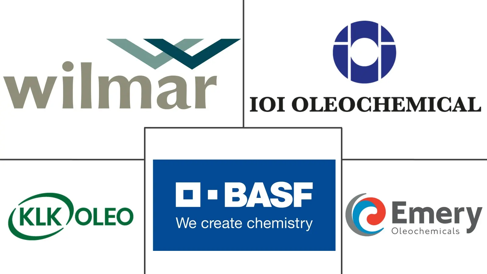 油脂化学品市场规模和份额