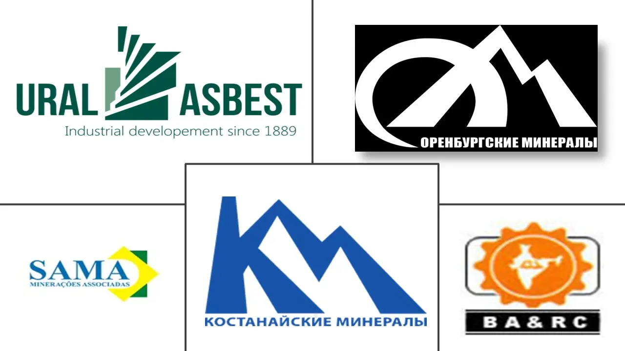 石棉市场规模和份额