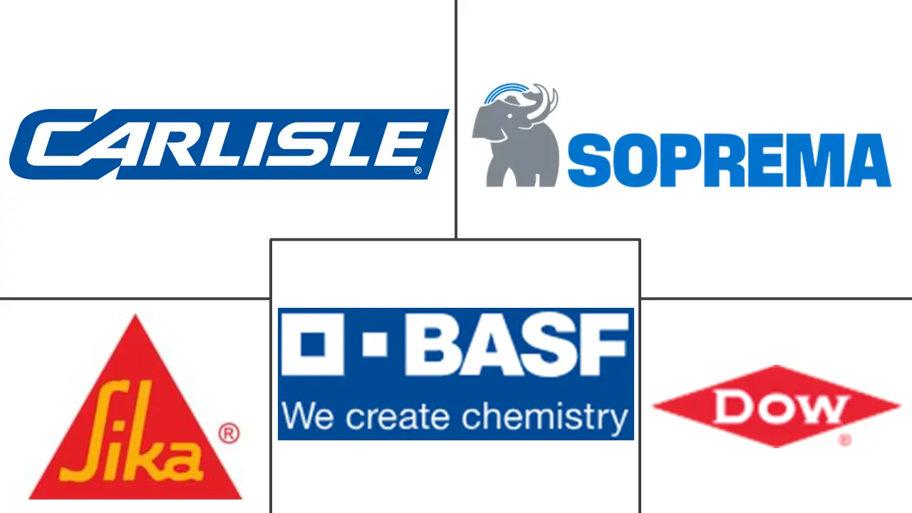 弹性膜市场规模和份额