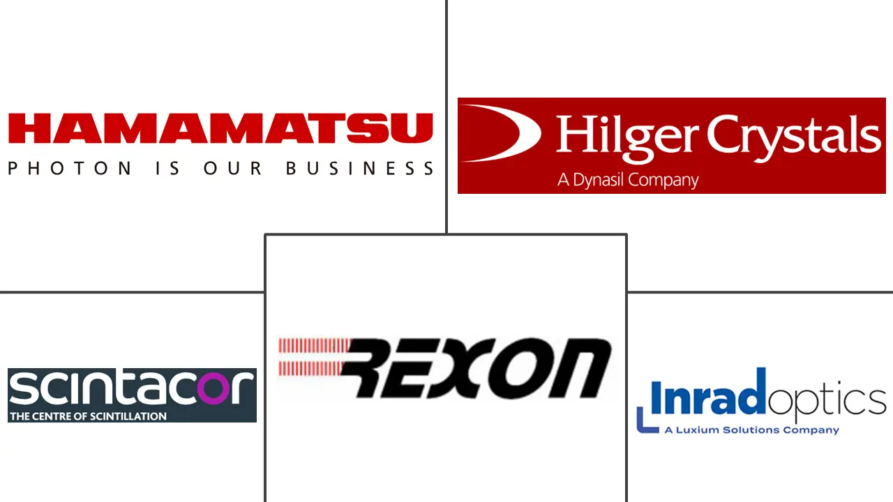 玻璃闪烁体市场规模和份额