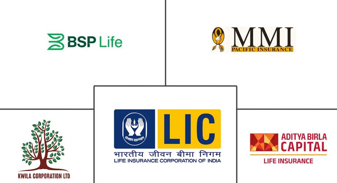 巴布亚新几内亚人寿保险市场规模和份额