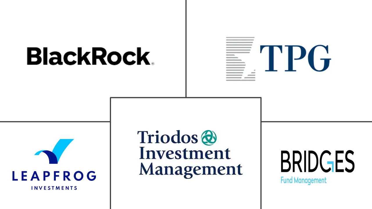 影响力投资市场规模和份额