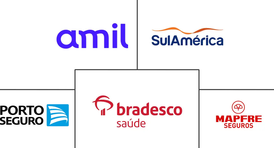 巴西汽车保险市场规模