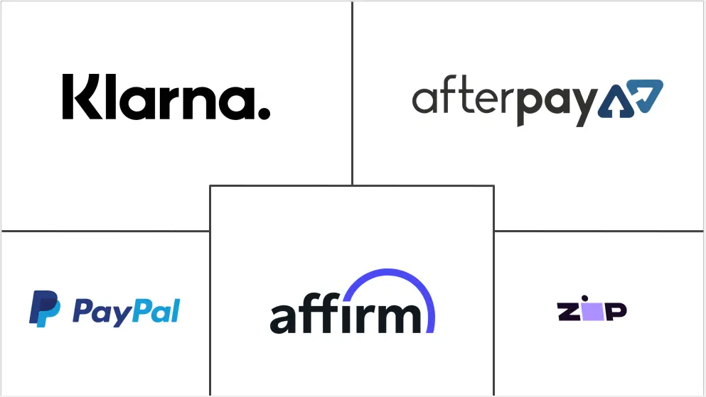 先买后付 (BNPL) 服务市场规模和份额