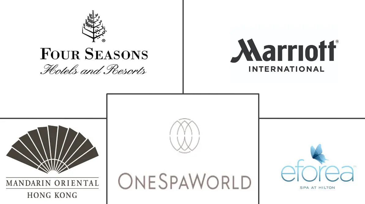 水疗市场规模和份额