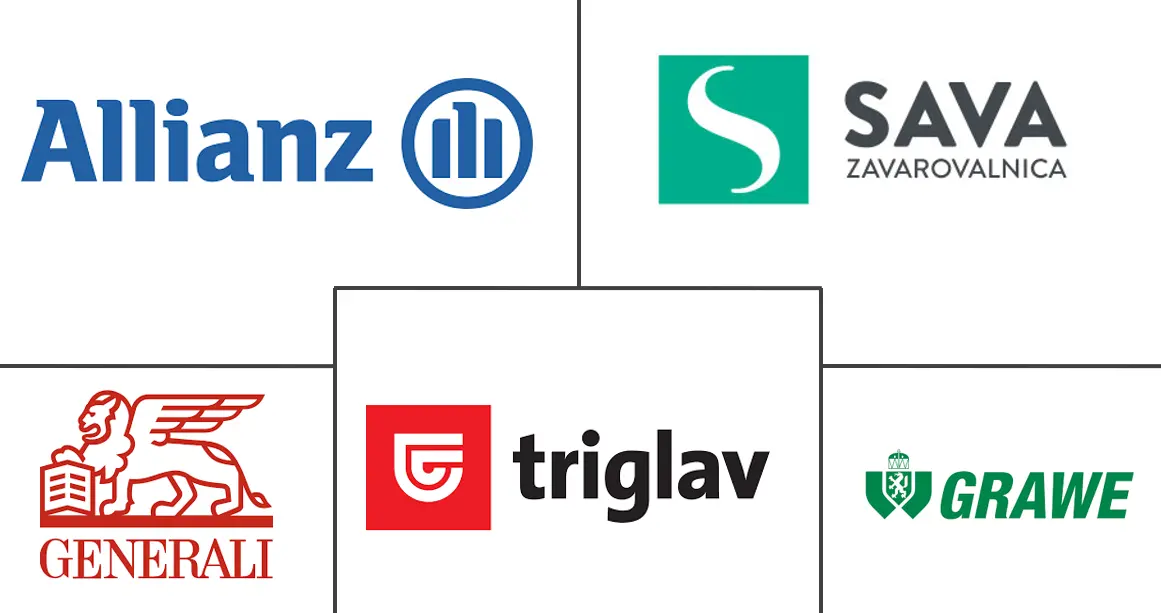 斯洛文尼亚财产和意外伤害保险市场规模