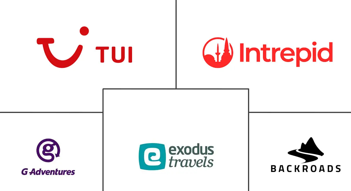 自行车旅游市场规模及份额