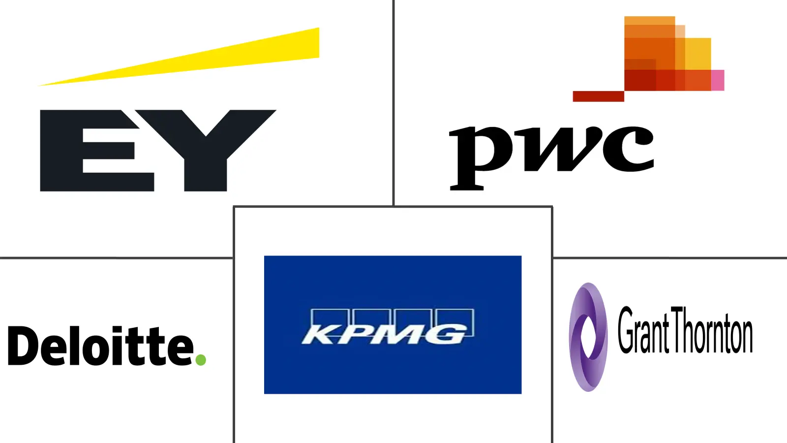 印度会计专业服务市场规模和份额